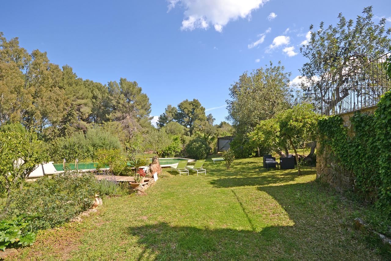 Spiros Alcúdia
